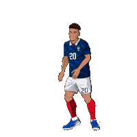 France Football Sticker by Panini America