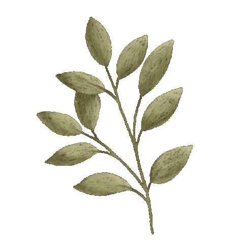 Plant Leaf Sticker
