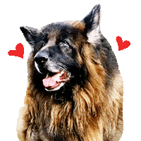 Happy Dog Sticker