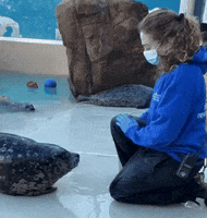 Dance Pool GIF