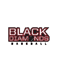 Liblackdiamonds Sticker by NBCInTheField