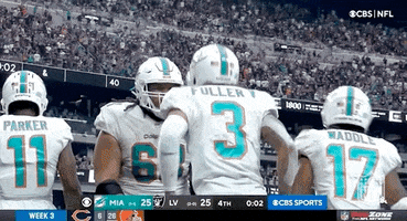 Miami Dolphins Football GIF by NFL