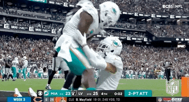 Miami Dolphins Football GIF by NFL