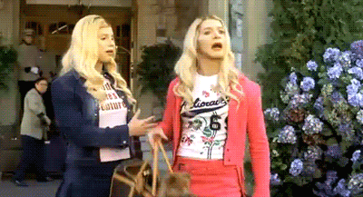 poodle GIF by Kate