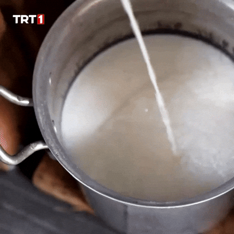 Baby Kids GIF by TRT