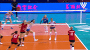 Smash Germany GIF by Volleyball World