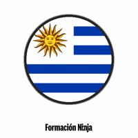 Flag Bandera GIF by Formación Ninja