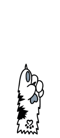 Cat Tap Sticker by RatujemyZwierzaki.pl