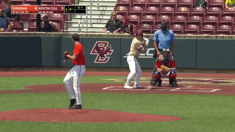 typicalbaseballfan giphyupload GIF