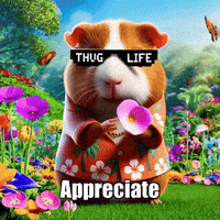 Wisdom Appreciate GIF by Guinea Gambino