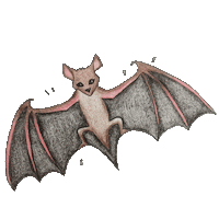 helpaustinnow fun animals color fly Sticker