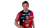 Handball-Bundesliga Hand Sticker by LIQUI MOLY HBL