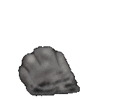 akimame ねこ 猫 まる 丸 Sticker