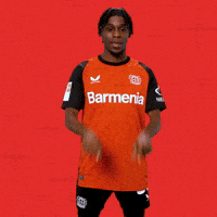 Bayer 04 Bundesliga GIF by Bayer 04 Leverkusen