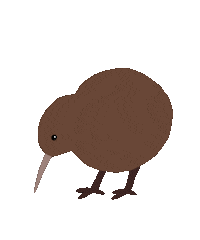 New Zealand Kiwi Sticker