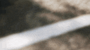 #run #runcannonballrun GIF by Tracksmith
