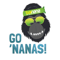 sunglasses go Sticker by Barnana