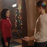 Christmas Agree GIF by discovery+