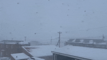 Visibility 'Near Zero' as Blizzard Hits Northern Canada