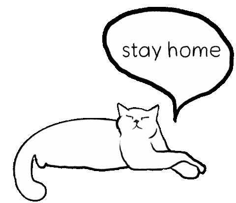 Cat Stay Home Sticker