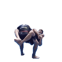 Grappling Downey Ca Sticker by Academy Jiu-Jitsu