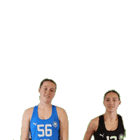 Dhb Beachhandball Sticker by dhb_teams