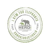 World Elephant Day Gym Sticker by HERD Elephant Orphanage