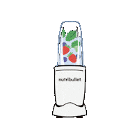 nutribullet2024 blender smoothie nutribullet 뉴트리불렛 Sticker