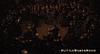Florence Pugh Dancing GIF by LittleWomen