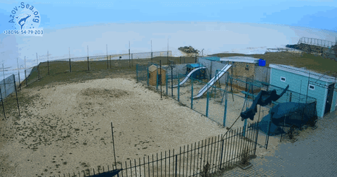 stepanovka 24 marta GIF