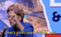Elizabeth Warren Speech GIF by Election 2020