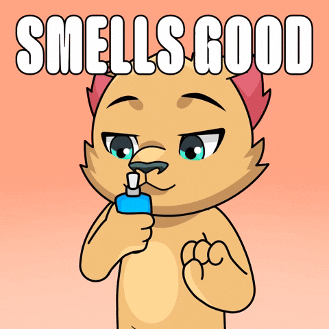 Kabu Friends GIF by Kabu