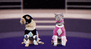 mighty morphin power rangers cat GIF by Power Rangers