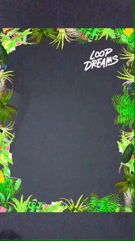 framebeta GIF