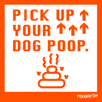 Dog Lol GIF by Animation Domination High-Def