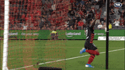 Western Sydney Wanderers Celebration GIF by wswanderersfc