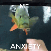 Mbss fish spin spinning fishing GIF