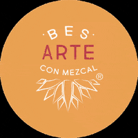 Mezcal Besarteconmezcal GIF by Bes-Arte con Mezcal