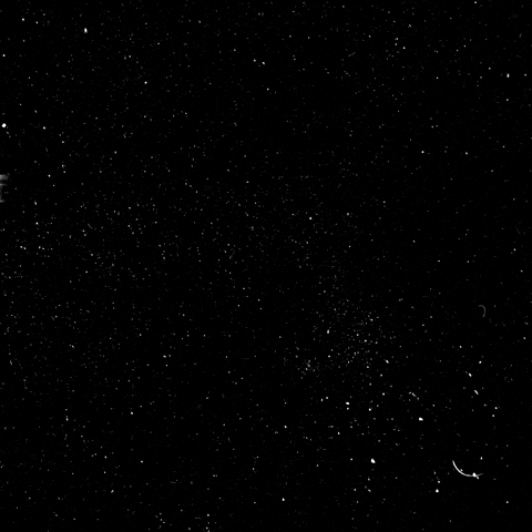 Quotes Uncertainty GIF by Sam Conniff