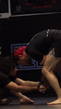Bjj Jiu Jitsu GIF by New Asgard Martial Arts