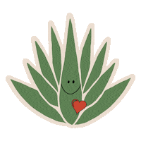 Plant Agave Sticker by Mezcal Rosaluna