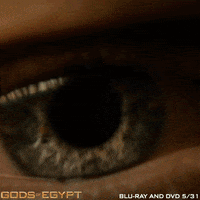 GIF by Lionsgate Home Entertainment