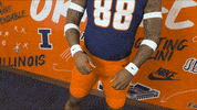 Illinois Universityofillinois GIF by Fighting Illini Athletics