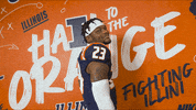 Illinois Universityofillinois GIF by Fighting Illini Athletics