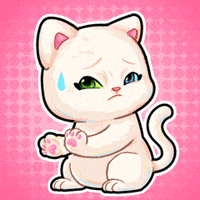 Cat No GIF by UpStudiosWorld