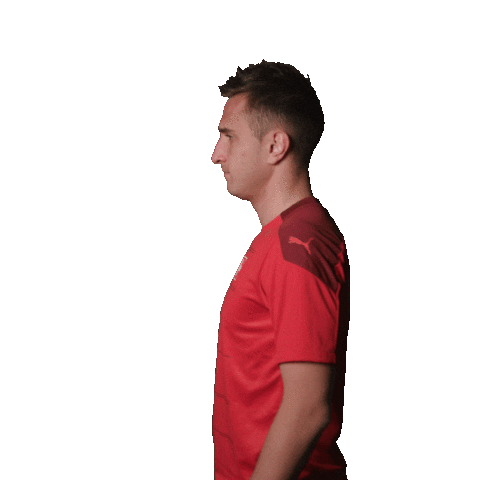 Player Sticker by Swiss Football Association