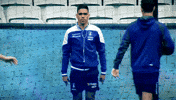 afl foreverfreo GIF by Fremantle Dockers