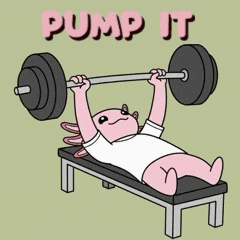 Pump It Gym GIF