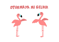 Wedding Flamingo Sticker by Tambu Klavye