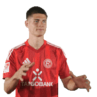 Football Soccer Sticker by Fortuna Düsseldorf